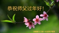 河南法轮功学员恭祝李洪志大师新年好(20条)