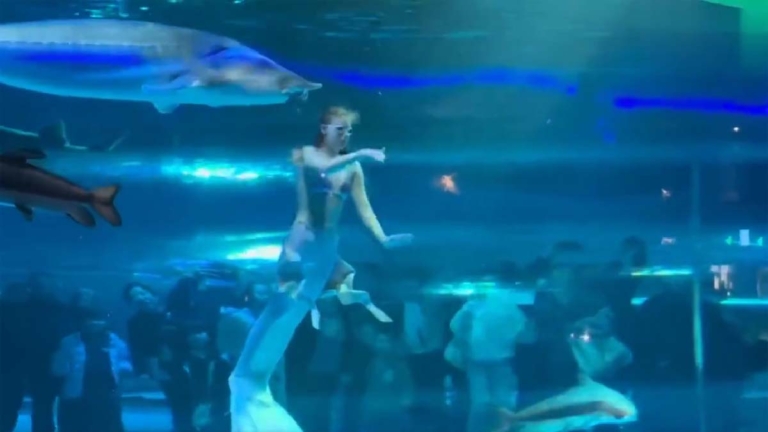 雲南美人魚表演被巨魚「吞頭」 水族館塞錢封口