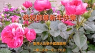 台灣、香港法輪功學員恭祝李洪志大師新年好