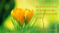 石家莊法輪功學員恭祝李洪志大師新年好(23條)
