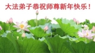 濟南法輪功學員恭祝李洪志大師新年好(20條)