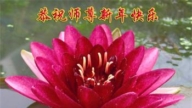 張家口法輪功學員恭祝李洪志大師新年好(19條)