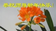 大陸法輪功學員恭祝李洪志大師新年好(31條)