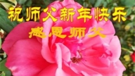大陸法輪功學員恭祝李洪志大師新年好(30條)