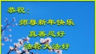 大陸法輪功學員恭祝李洪志大師新年好(27條)