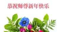 大陸法輪功學員恭祝李洪志大師新年好(28條)