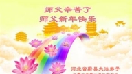大陸法輪功學員恭祝李洪志大師新年好(30條)