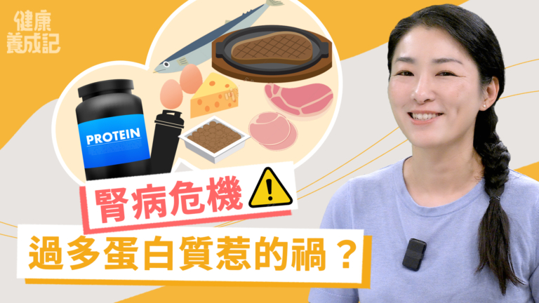 【健康養成記】腎病危機 過多蛋白質惹的禍