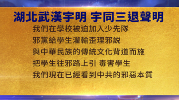 【禁闻】2月13日三退声明精选