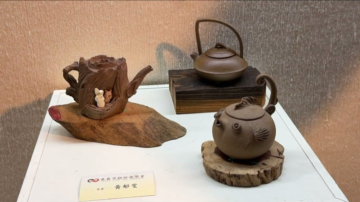 桃城捏坯壶会员联展 展“壶、艺”茶器之美