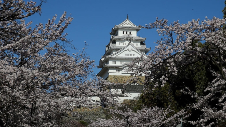 姬路城擬2026年3月調漲 非市民成人票價2500日圓