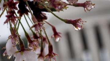 今年雨水节气晚 “最怕雨水一日晴”有何预兆？