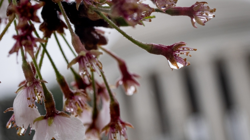 今年雨水节气晚 “最怕雨水一日晴”有何预兆？