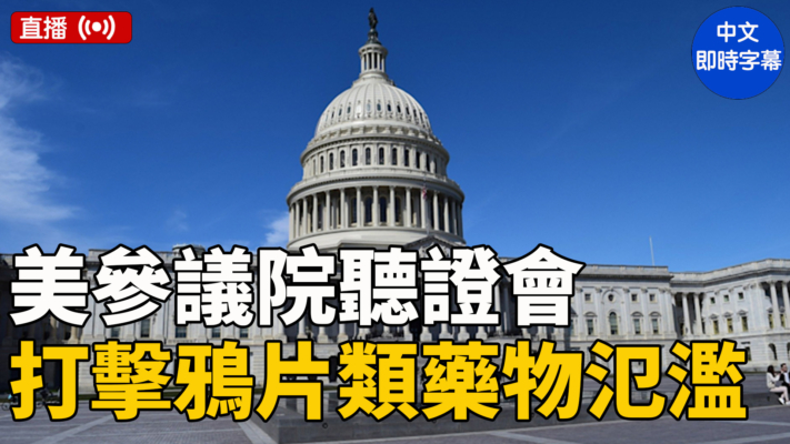 【直播】美參議院聽證會：打擊鴉片類藥物氾濫（中文字幕）