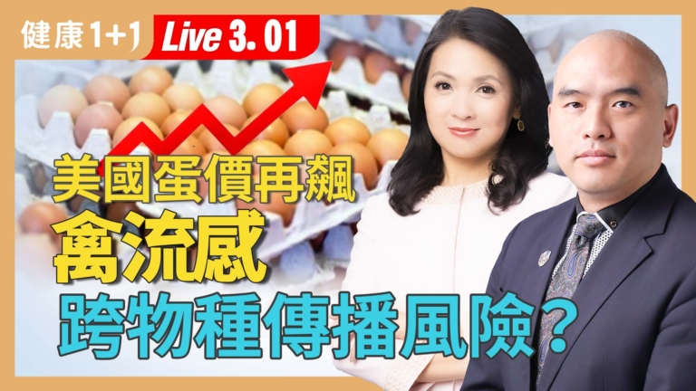 【健康1+1】美國蛋價再飆 禽流感跨物種傳播風險？