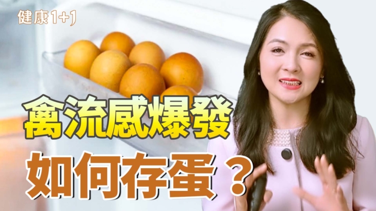 【健康1+1】禽流感爆發如何存蛋？
