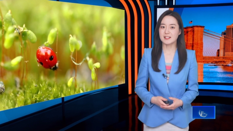 驚蟄來啦！春雷滾滾 萬物復甦
