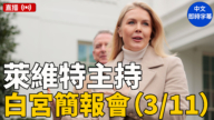 【直播】萊維特主持白宮簡報會（3/11）