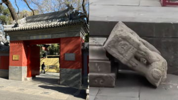 北京法源寺600年石狮 被游客推倒摔碎（视频）