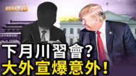 【热点互动】下月川习会？大外宣爆意外