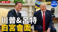 【直播】川普白宮會見北約祕書長呂特（中文字幕）