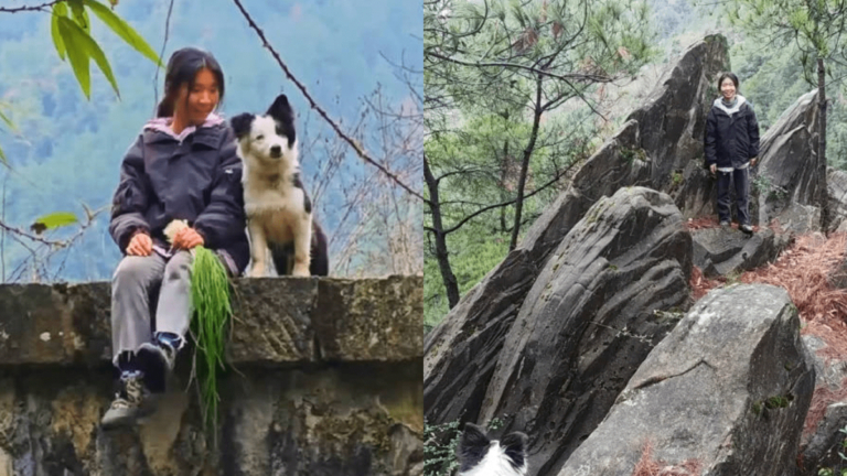 深圳女孩辭高薪工作 做大山護林員（視頻）