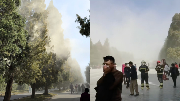 北京天壇公園爆發「花粉霧」 居民苦不堪言（視頻）