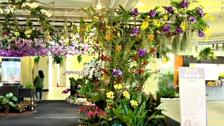 沉浸式蘭花生活美學展 體現屏東花藝新風貌