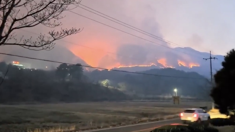 韓國爆發30多起山火 4名消防員遇難