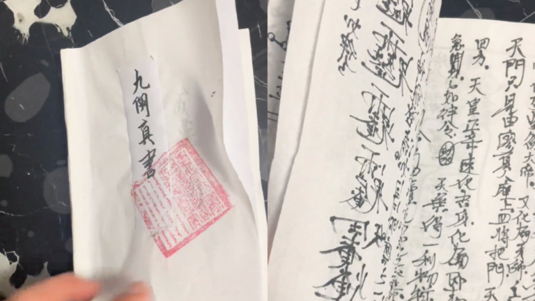 沒喝孟婆湯？ 山東12歲男孩手寫一本「九陰真書」（視頻）