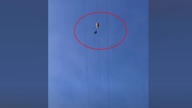 中國女玩滑翔傘掛高壓線 停電救援致養殖戶魚死光