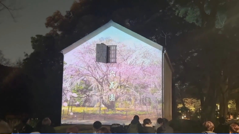 東京六義園夜間點燈 呈現雅緻日式庭園之美