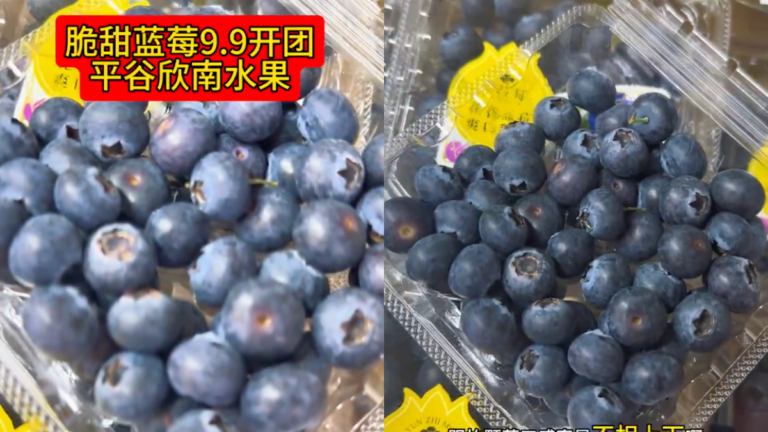 中國藍莓價格暴跌 從上百元跌至9.9元