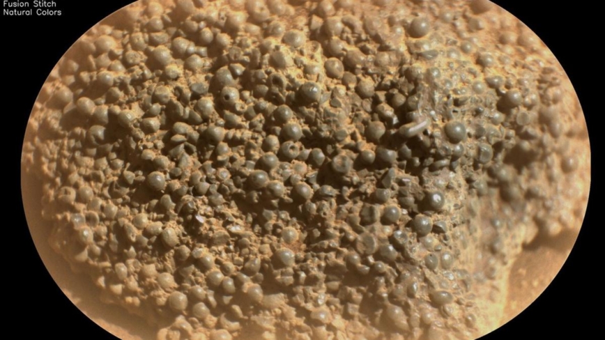 毅力号在火星发现布满“蜘蛛卵”奇特岩石