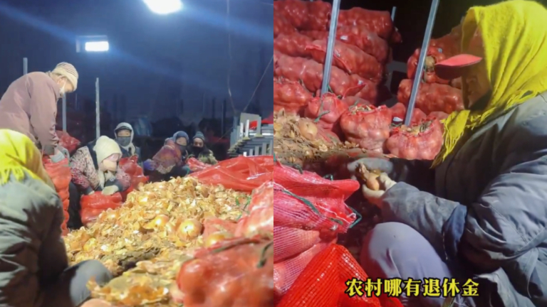 75歲農村大娘無退休金 每天打工10小時（視頻）