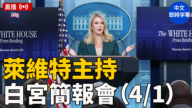 【直播】莱维特主持白宫简报会（4/1）