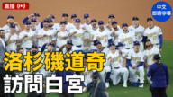 【直播】川普白宫迎職棒冠軍道奇隊（中文字幕）