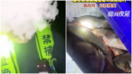 安徽漁政人員監守自盜 禁漁區捕魚被抓現行