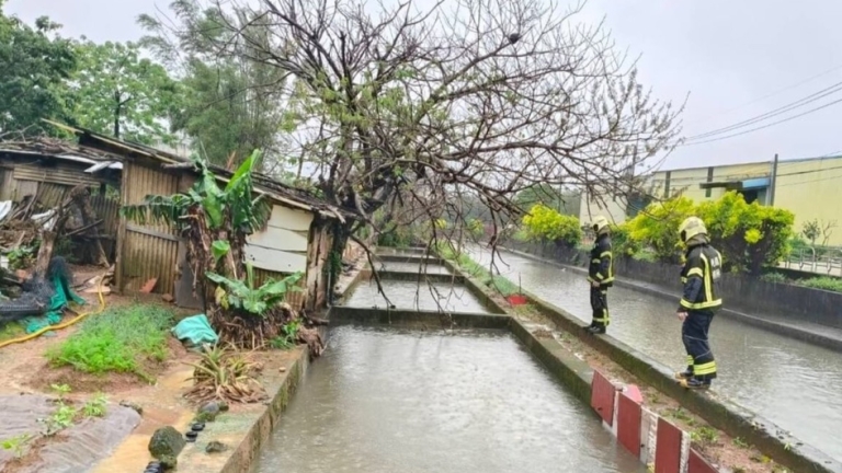 大雨釀災 桃園工人涵管內被沖走 消防人員搜尋中
