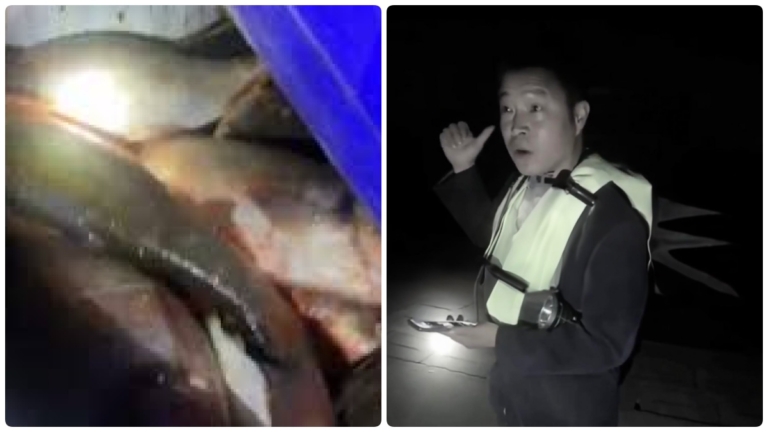 監守自盜 安徽漁政人員非法捕魚被抓