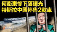 【快訊】何衛東慘下落曝光 特斯拉中國停售2款車