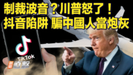 【快讯】制裁波音？川普怒了！抖音陷阱 骗中国人当炮灰