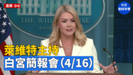 【直播】萊維特主持白宮簡報會（4/16）