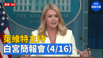 【直播】莱维特主持白宫简报会（4/16）