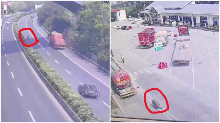 重慶高速車輪脫落滾1公里 進服務區撞死人（視頻）