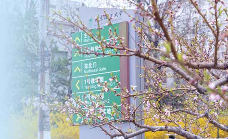 北理工46歲副院長出軌24歲男碩士 詳情曝光