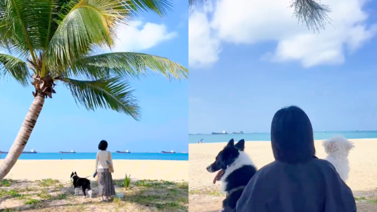 中國年輕人熱衷單身 提前退休 靠利息生活（視頻）