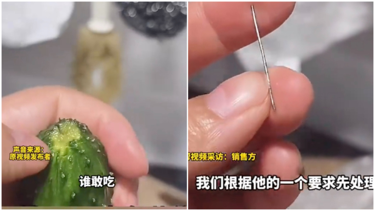 誰敢吃？ 大陸一女士投訴：買的黃瓜裡竟藏著針