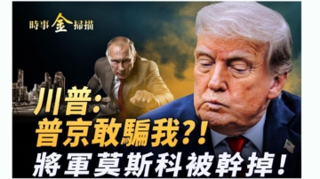 时事金扫描