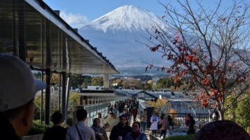 砍邻居23棵树换富士山景 中国籍旅馆老板获刑